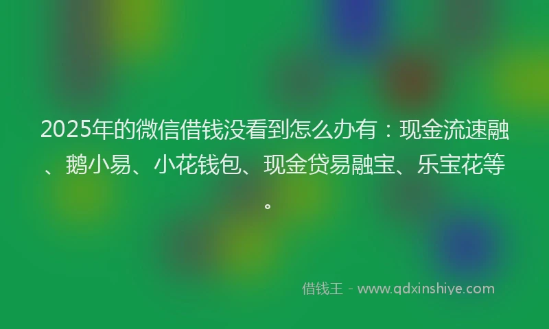 2025年的微信借钱没看到怎么办有：现金流速融、鹅小易、小花钱包、现金贷易融宝、乐宝花等。