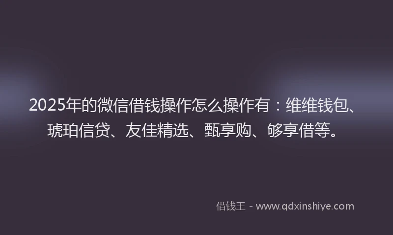 2025年的微信借钱操作怎么操作有：维维钱包、琥珀信贷、友佳精选、甄享购、够享借等。