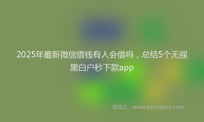 2025年最新微信借钱有人会借吗，总结5个无视黑白户秒下款app