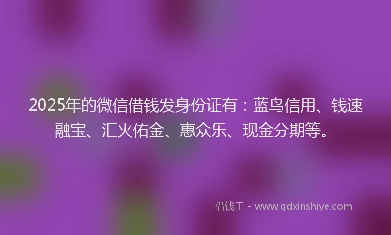 2025年的微信借钱发身份证有：蓝鸟信用、钱速融宝、汇火佑金、惠众乐、现金分期等。