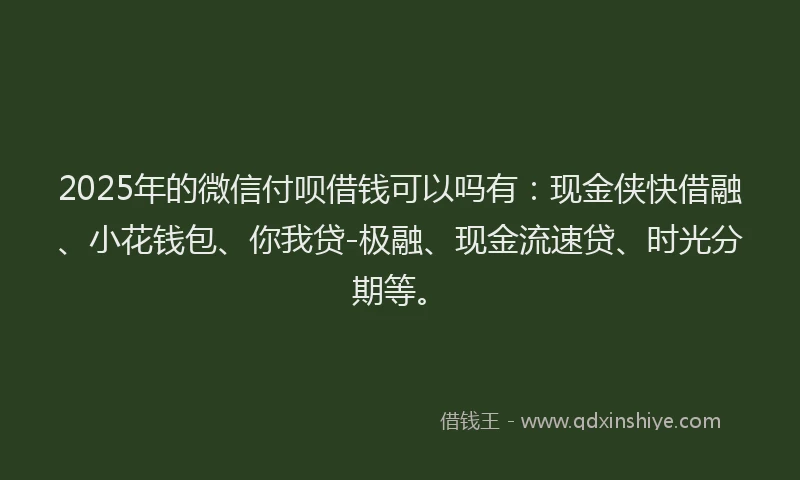 2025年的微信付呗借钱可以吗有：现金侠快借融、小花钱包、你我贷-极融、现金流速贷、时光分期等。