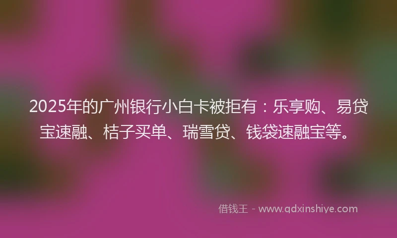 2025年的广州银行小白卡被拒有：乐享购、易贷宝速融、桔子买单、瑞雪贷、钱袋速融宝等。