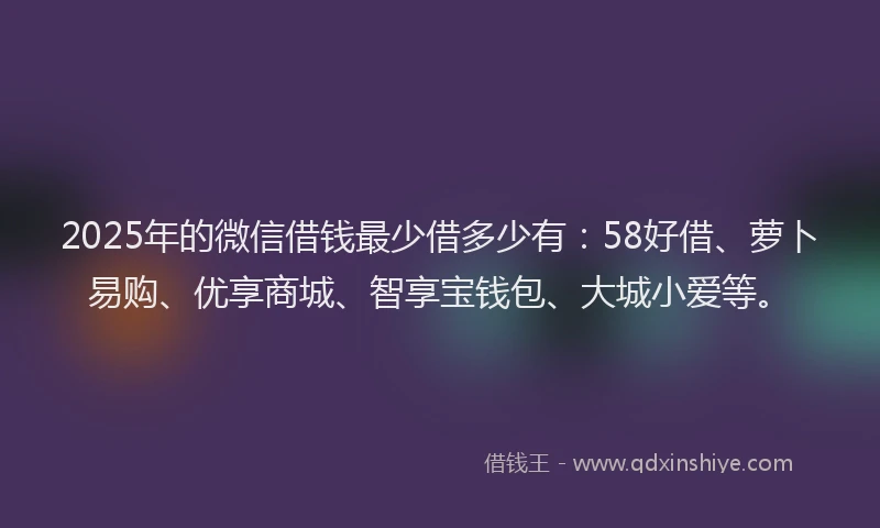 2025年的微信借钱最少借多少有：58好借、萝卜易购、优享商城、智享宝钱包、大城小爱等。