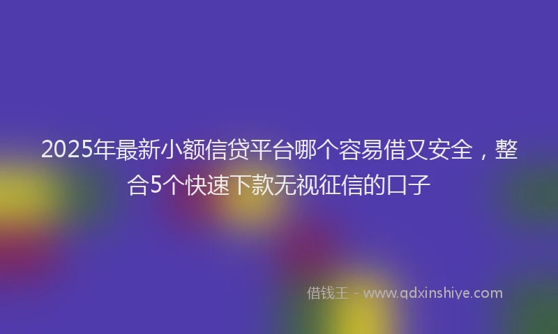 2025年最新小额信贷平台哪个容易借又安全，整合5个快速下款无视征信的口子