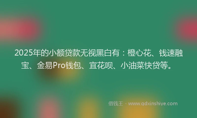 2025年的小额贷款无视黑白有：橙心花、钱速融宝、金易Pro钱包、宜花呗、小油菜快贷等。