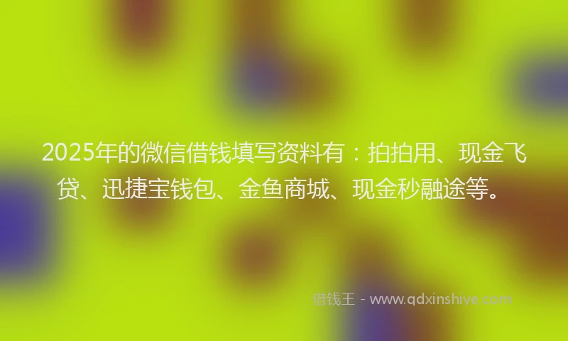 2025年的微信借钱填写资料有：拍拍用、现金飞贷、迅捷宝钱包、金鱼商城、现金秒融途等。