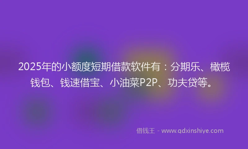 2025年的小额度短期借款软件有：分期乐、橄榄钱包、钱速借宝、小油菜P2P、功夫贷等。