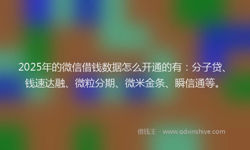 2025年的微信借钱数据怎么开通的有：分子贷、钱速达融、微粒分期、微米金条、瞬信通等。