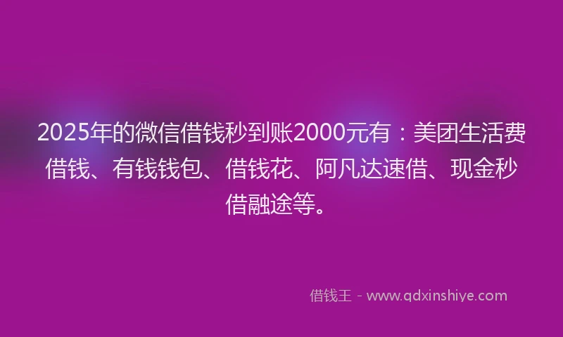 2025年的微信借钱秒到账2000元有：美团生活费借钱、有钱钱包、借钱花、阿凡达速借、现金秒借融途等。