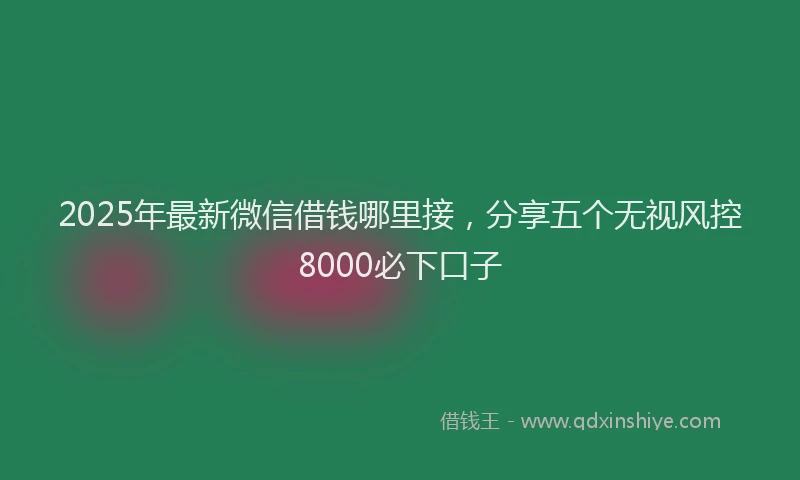2025年最新微信借钱哪里接，分享五个无视风控8000必下口子
