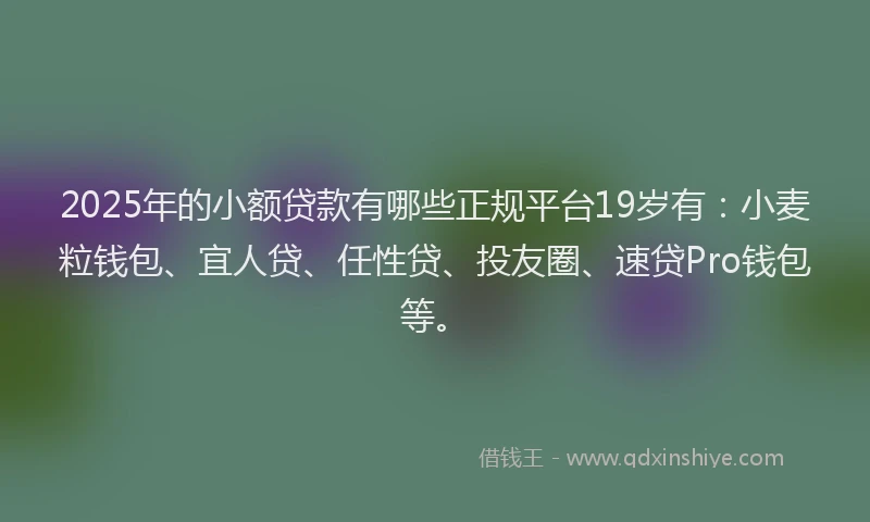 2025年的小额贷款有哪些正规平台19岁有：小麦粒钱包、宜人贷、任性贷、投友圈、速贷Pro钱包等。