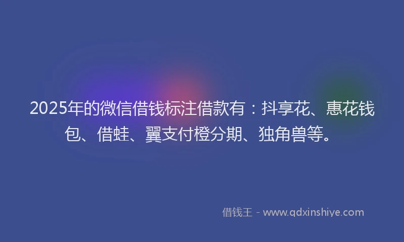 2025年的微信借钱标注借款有：抖享花、惠花钱包、借蛙、翼支付橙分期、独角兽等。
