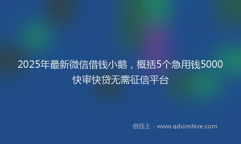 2025年最新微信借钱小鹅，概括5个急用钱5000快审快贷无需征信平台