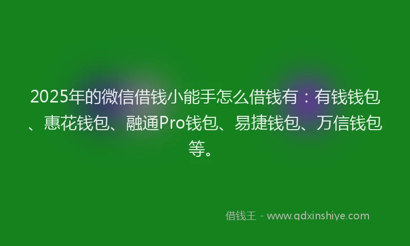 2025年的微信借钱小能手怎么借钱有：有钱钱包、惠花钱包、融通Pro钱包、易捷钱包、万信钱包等。
