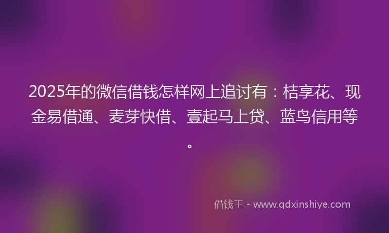 2025年的微信借钱怎样网上追讨有：桔享花、现金易借通、麦芽快借、壹起马上贷、蓝鸟信用等。