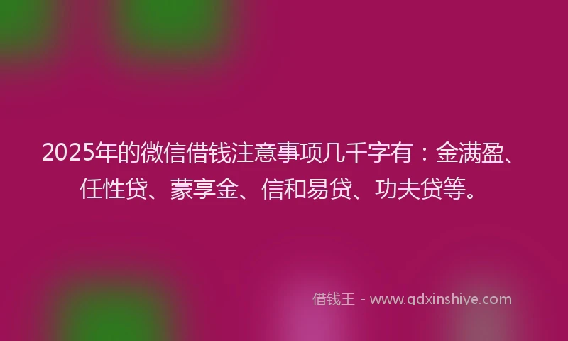 2025年的微信借钱注意事项几千字有：金满盈、任性贷、蒙享金、信和易贷、功夫贷等。