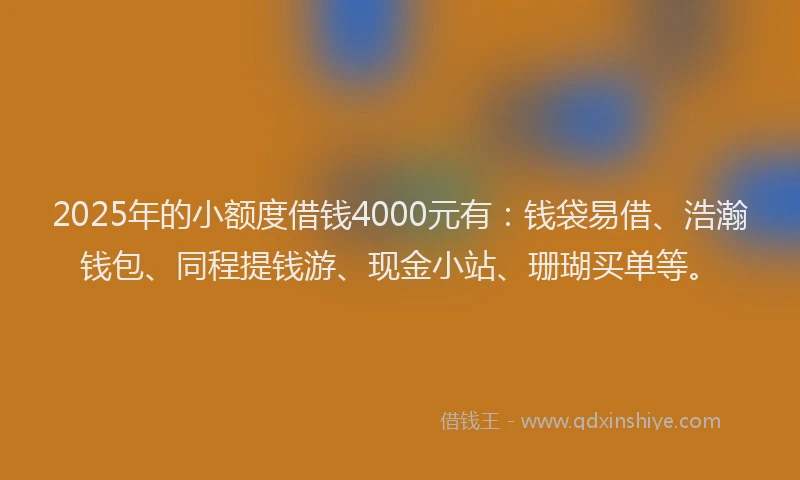2025年的小额度借钱4000元有：钱袋易借、浩瀚钱包、同程提钱游、现金小站、珊瑚买单等。