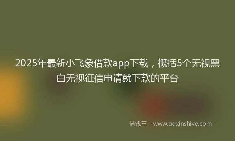 2025年最新小飞象借款app下载，概括5个无视黑白无视征信申请就下款的平台