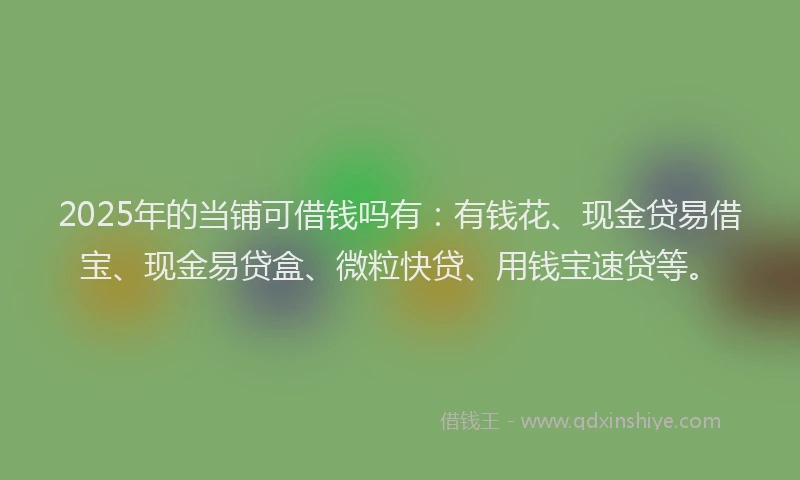 2025年的当铺可借钱吗有：有钱花、现金贷易借宝、现金易贷盒、微粒快贷、用钱宝速贷等。