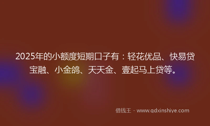 2025年的小额度短期口子有：轻花优品、快易贷宝融、小金鸽、天天金、壹起马上贷等。