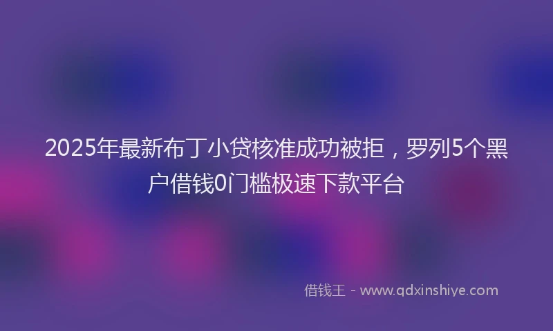 2025年最新布丁小贷核准成功被拒，罗列5个黑户借钱0门槛极速下款平台