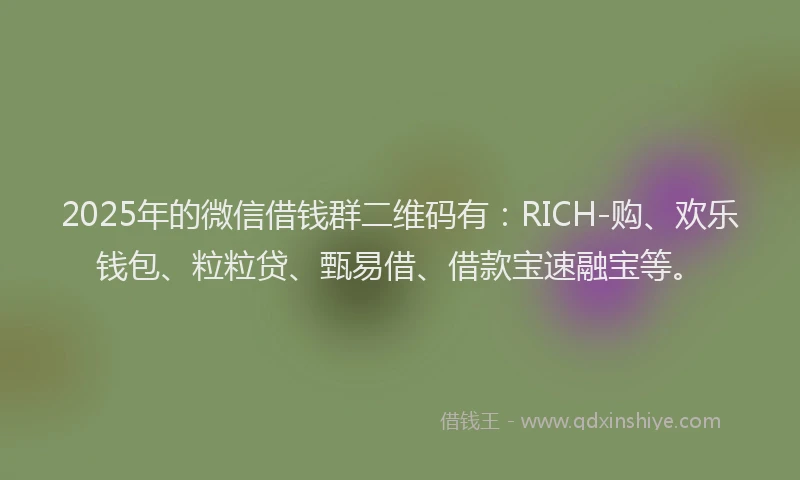 2025年的微信借钱群二维码有：RICH-购、欢乐钱包、粒粒贷、甄易借、借款宝速融宝等。