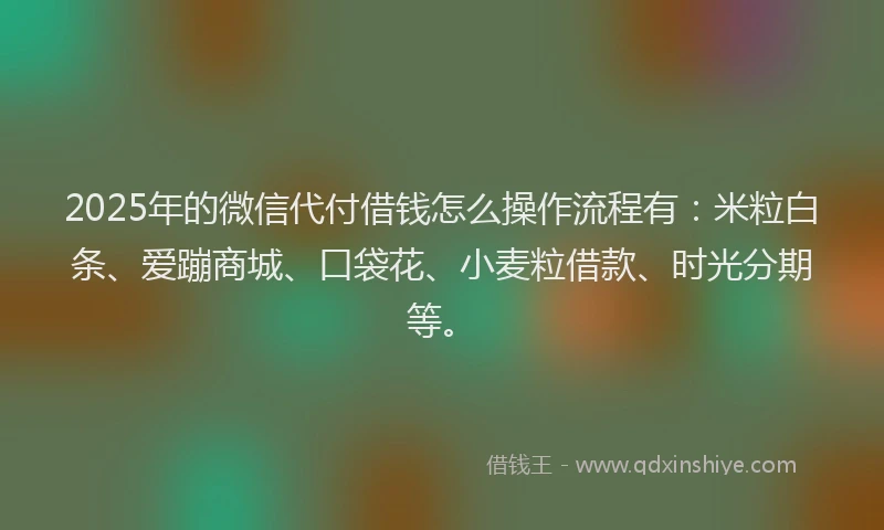 2025年的微信代付借钱怎么操作流程有：米粒白条、爱蹦商城、口袋花、小麦粒借款、时光分期等。