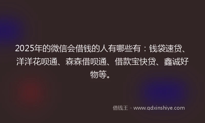 2025年的微信会借钱的人有哪些有：钱袋速贷、洋洋花呗通、森森借呗通、借款宝快贷、鑫诚好物等。