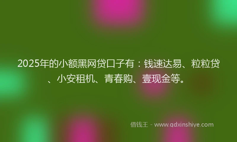 2025年的小额黑网贷口子有：钱速达易、粒粒贷、小安租机、青春购、壹现金等。