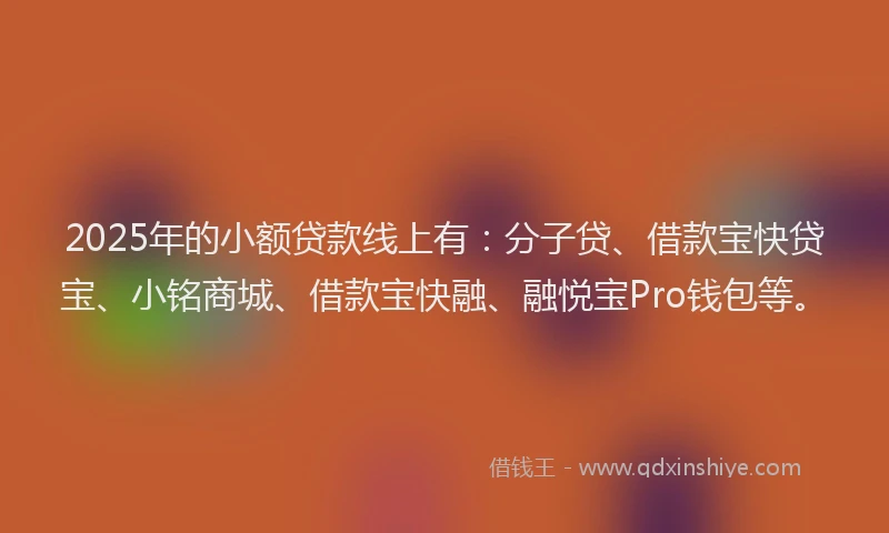 2025年的小额贷款线上有:分子贷、借款宝快贷宝、小铭商城、借款宝快融、融悦宝Pro钱包等。
