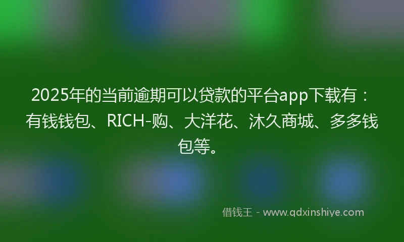 2025年的当前逾期可以贷款的平台app下载有：有钱钱包、RICH-购、大洋花、沐久商城、多多钱包等。