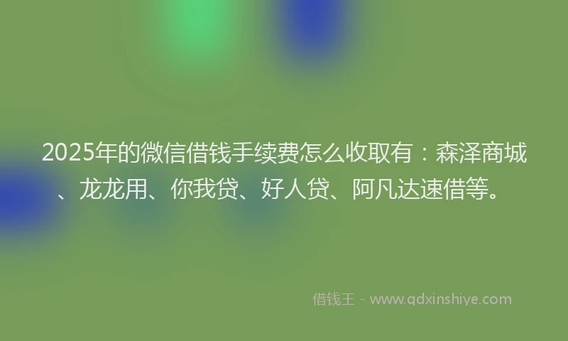 2025年的微信借钱手续费怎么收取有：森泽商城、龙龙用、你我贷、好人贷、阿凡达速借等。