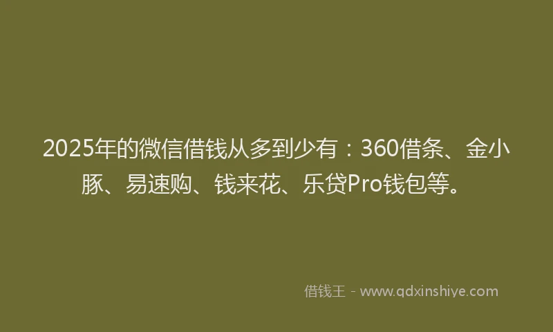 2025年的微信借钱从多到少有：360借条、金小豚、易速购、钱来花、乐贷Pro钱包等。