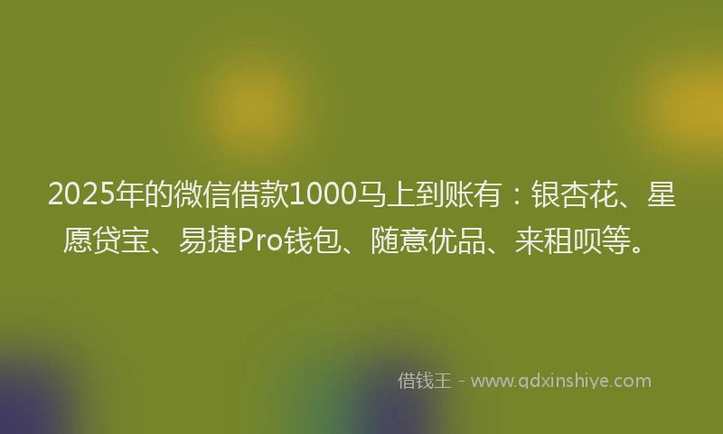 2025年的微信借款1000马上到账有：银杏花、星愿贷宝、易捷Pro钱包、随意优品、来租呗等。