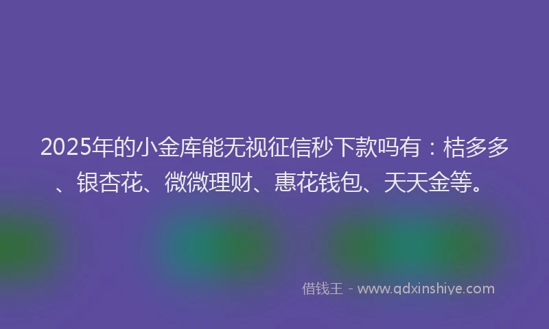 2025年的小金库能无视征信秒下款吗有：桔多多、银杏花、微微理财、惠花钱包、天天金等。