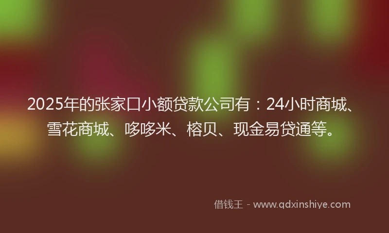 2025年的张家口小额贷款公司有：24小时商城、雪花商城、哆哆米、榕贝、现金易贷通等。