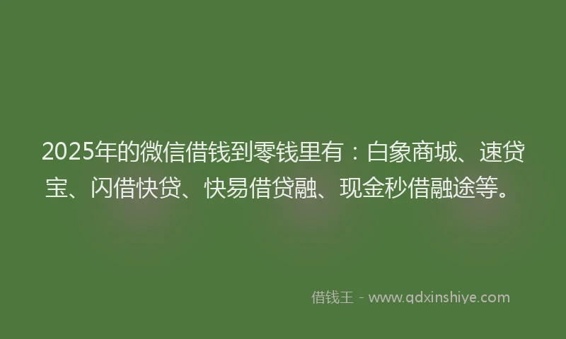 2025年的微信借钱到零钱里有：白象商城、速贷宝、闪借快贷、快易借贷融、现金秒借融途等。