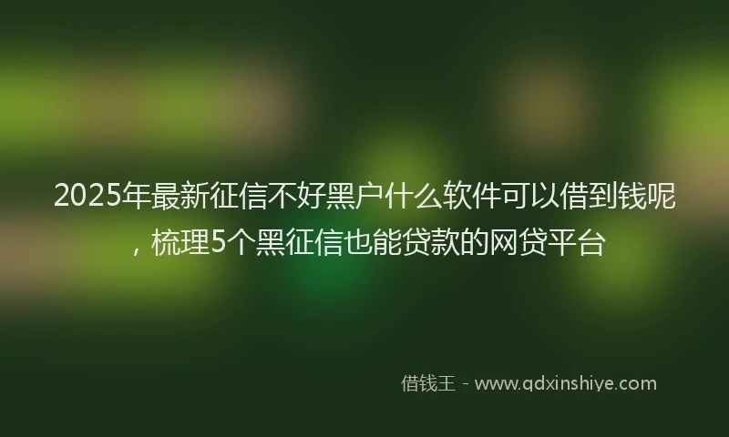 2025年最新征信不好黑户什么软件可以借到钱呢，梳理5个黑征信也能贷款的网贷平台