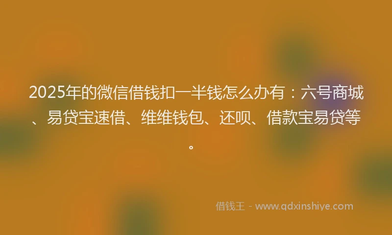 2025年的微信借钱扣一半钱怎么办有：六号商城、易贷宝速借、维维钱包、还呗、借款宝易贷等。
