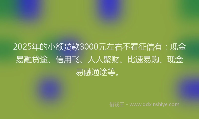 2025年的小额贷款3000元左右不看征信有：现金易融贷途、信用飞、人人聚财、比速易购、现金易融通途等。