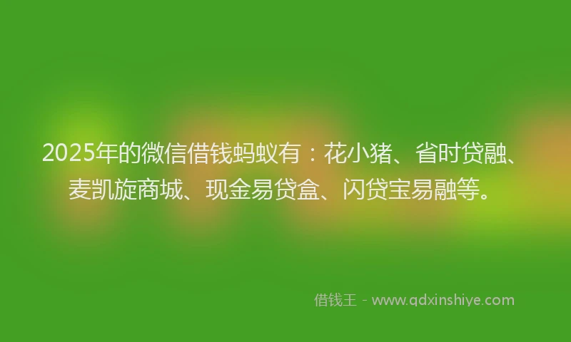 2025年的微信借钱蚂蚁有：花小猪、省时贷融、麦凯旋商城、现金易贷盒、闪贷宝易融等。