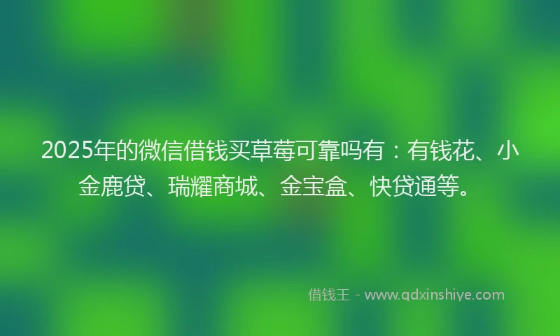 2025年的微信借钱买草莓可靠吗有：有钱花、小金鹿贷、瑞耀商城、金宝盒、快贷通等。