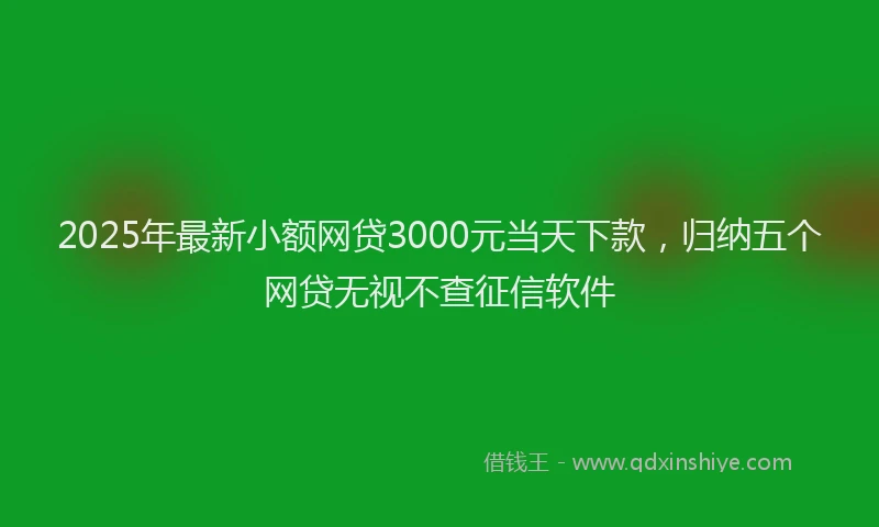 2025年最新小额网贷3000元当天下款，归纳五个网贷无视不查征信软件