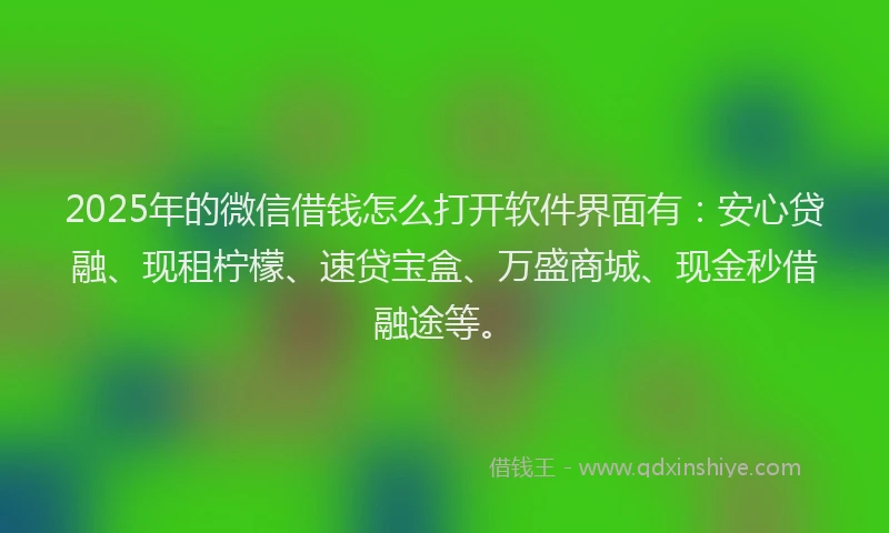 2025年的微信借钱怎么打开软件界面有：安心贷融、现租柠檬、速贷宝盒、万盛商城、现金秒借融途等。