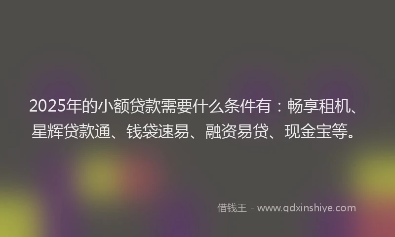 2025年的小额贷款需要什么条件有：畅享租机、星辉贷款通、钱袋速易、融资易贷、现金宝等。