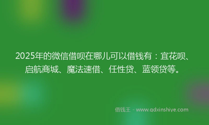 2025年的微信借呗在哪儿可以借钱有：宜花呗、启航商城、魔法速借、任性贷、蓝领贷等。