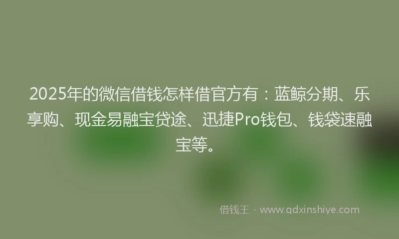 2025年的微信借钱怎样借官方有：蓝鲸分期、乐享购、现金易融宝贷途、迅捷Pro钱包、钱袋速融宝等。