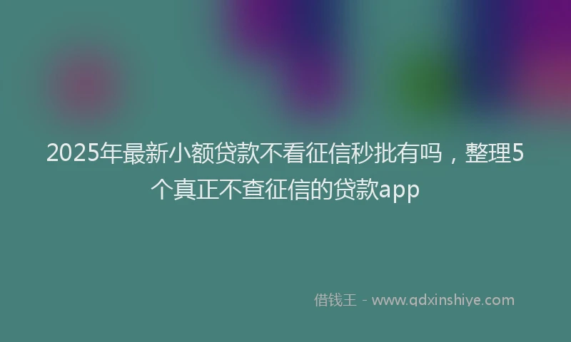 2025年最新小额贷款不看征信秒批有吗，整理5个真正不查征信的贷款app