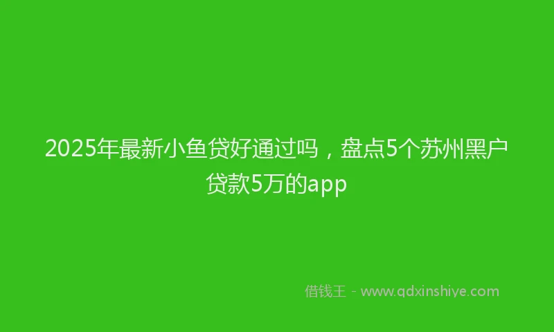2025年最新小鱼贷好通过吗，盘点5个苏州黑户贷款5万的app