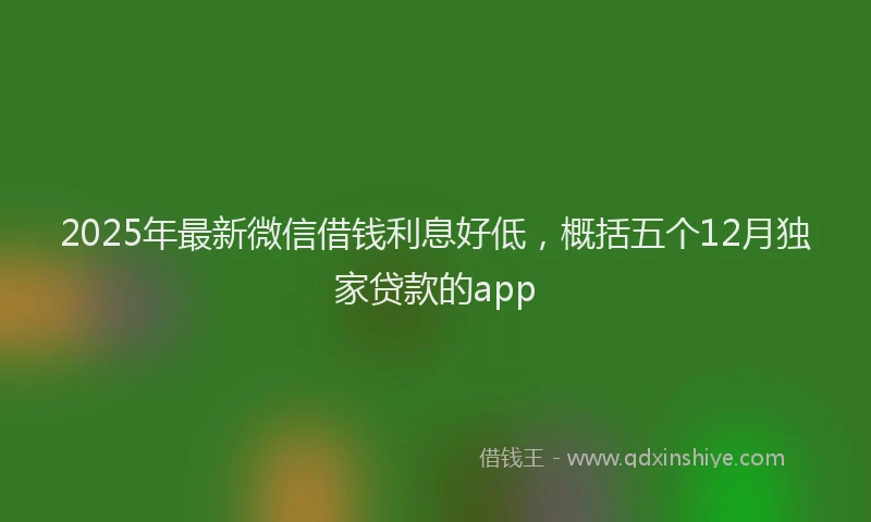 2025年最新微信借钱利息好低，概括五个12月独家贷款的app
